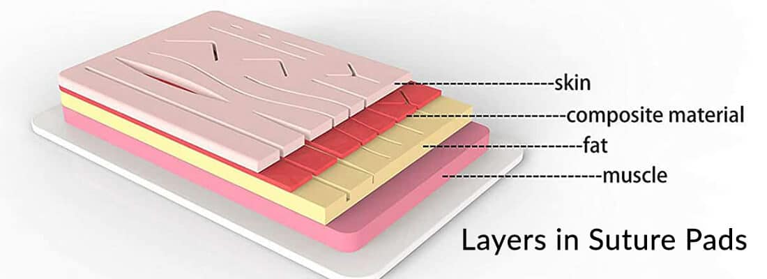 layers in suture pads shown with names