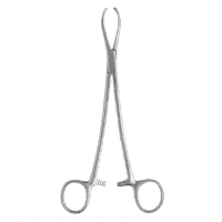 Littlewood Tissue Forceps 19cm 2x3 Teeth